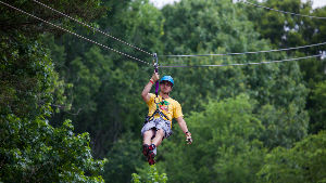  Zipline & Aerial Adventure Parks